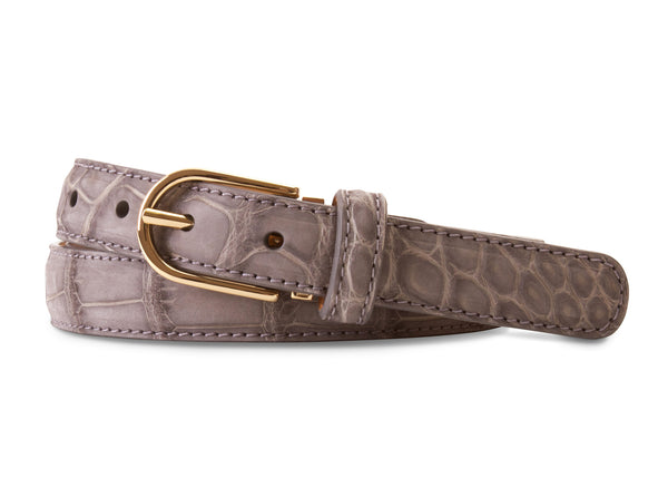 Grey Buffed American Alligator