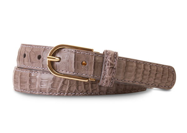 Grey Caiman Crocodile