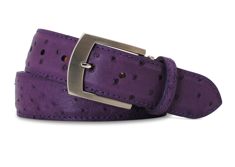 Purple Quilled Ostrich