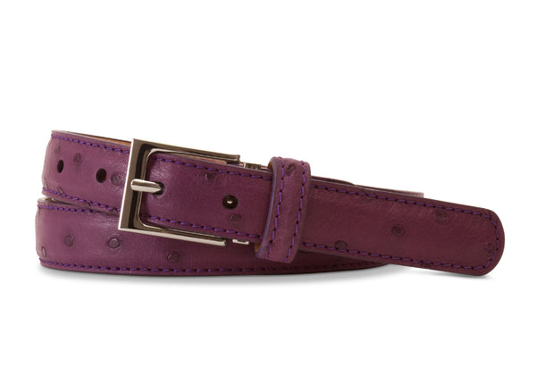 Purple Quilled Ostrich