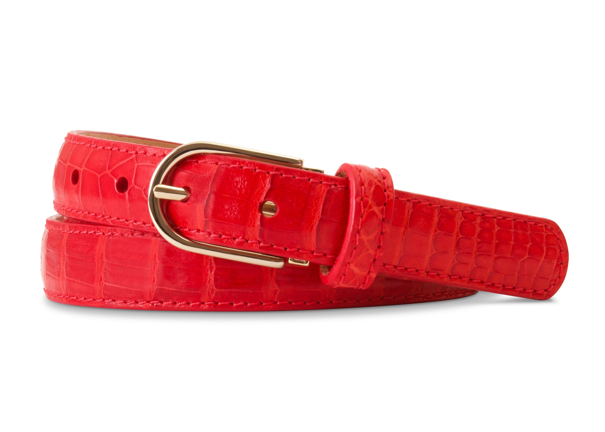 Red Caiman Crocodile